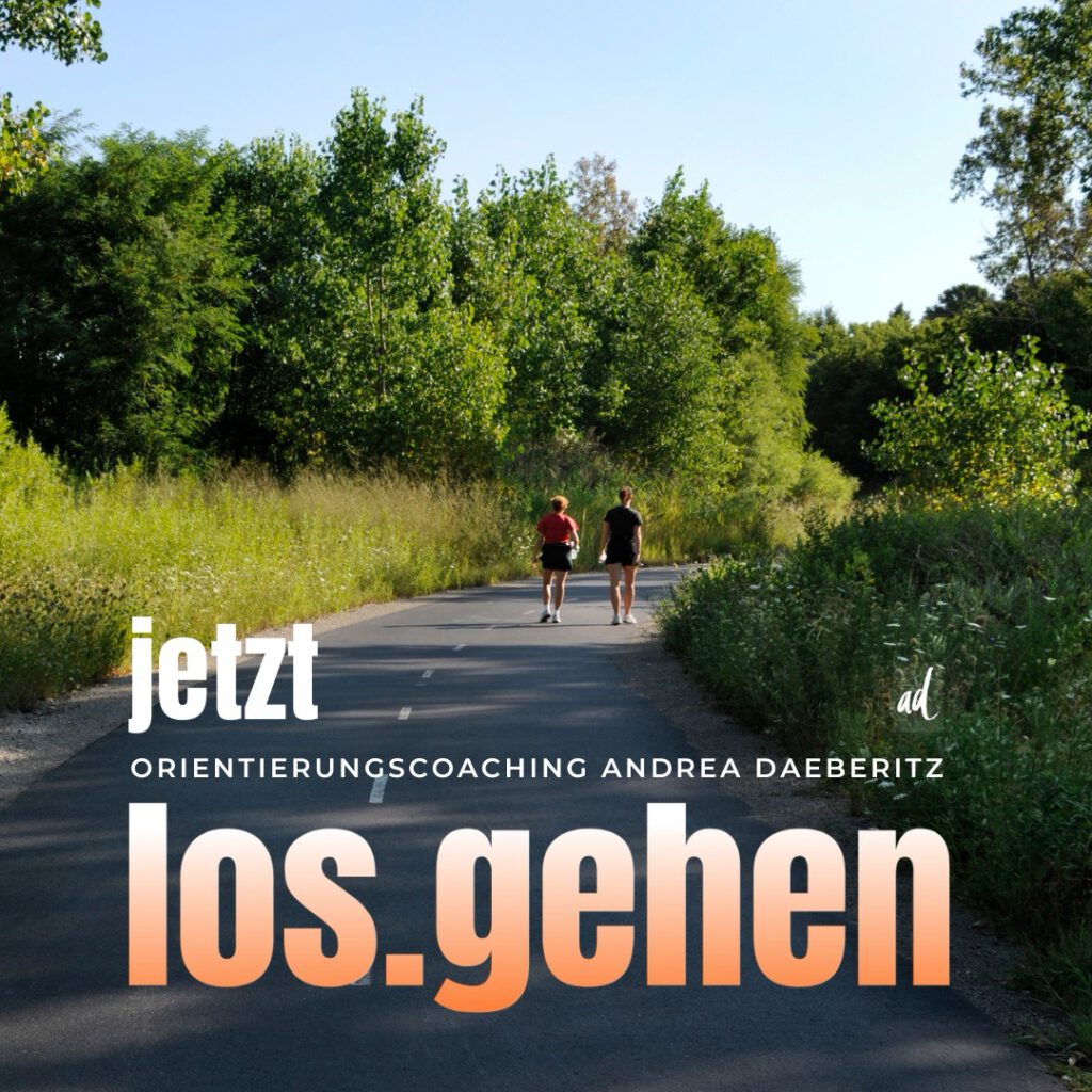 Soziale Medien und ihre Folgen: Informationsflut, Unsicherheit, Druck - Andrea Däberitz